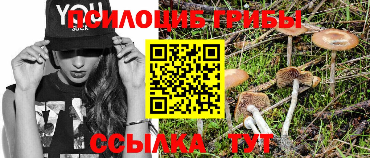 Валуйки  Галлюциногенные грибы Cubensis  Вход с VPN 